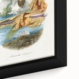 Romanticism Art: Volcano Limpet Snail Wall Art for Home Decor