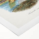 Romanticism Art: Volcano Limpet Snail Wall Art for Home Decor