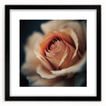 Elegant Rose Living Room Wall Art – Large Framed Floral Canvas