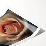 Elegant Rose Living Room Wall Art – Large Framed Floral Canvas