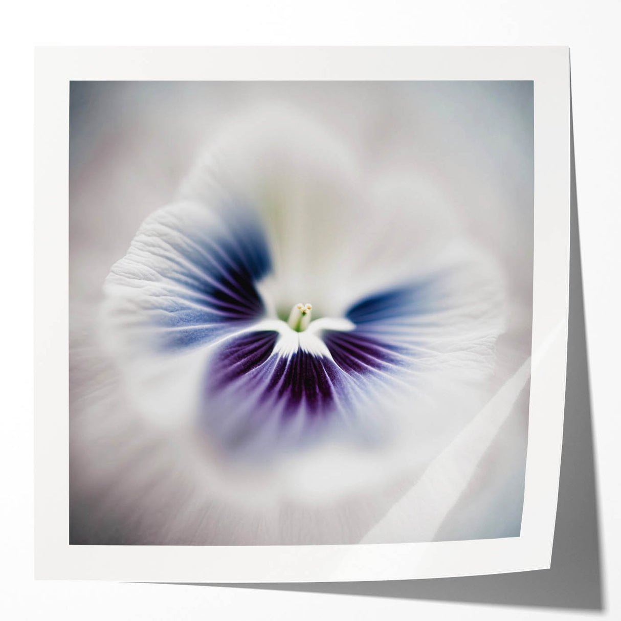 Elegant Purple Floral Living Room Wall Art – Framed Canvas Print
