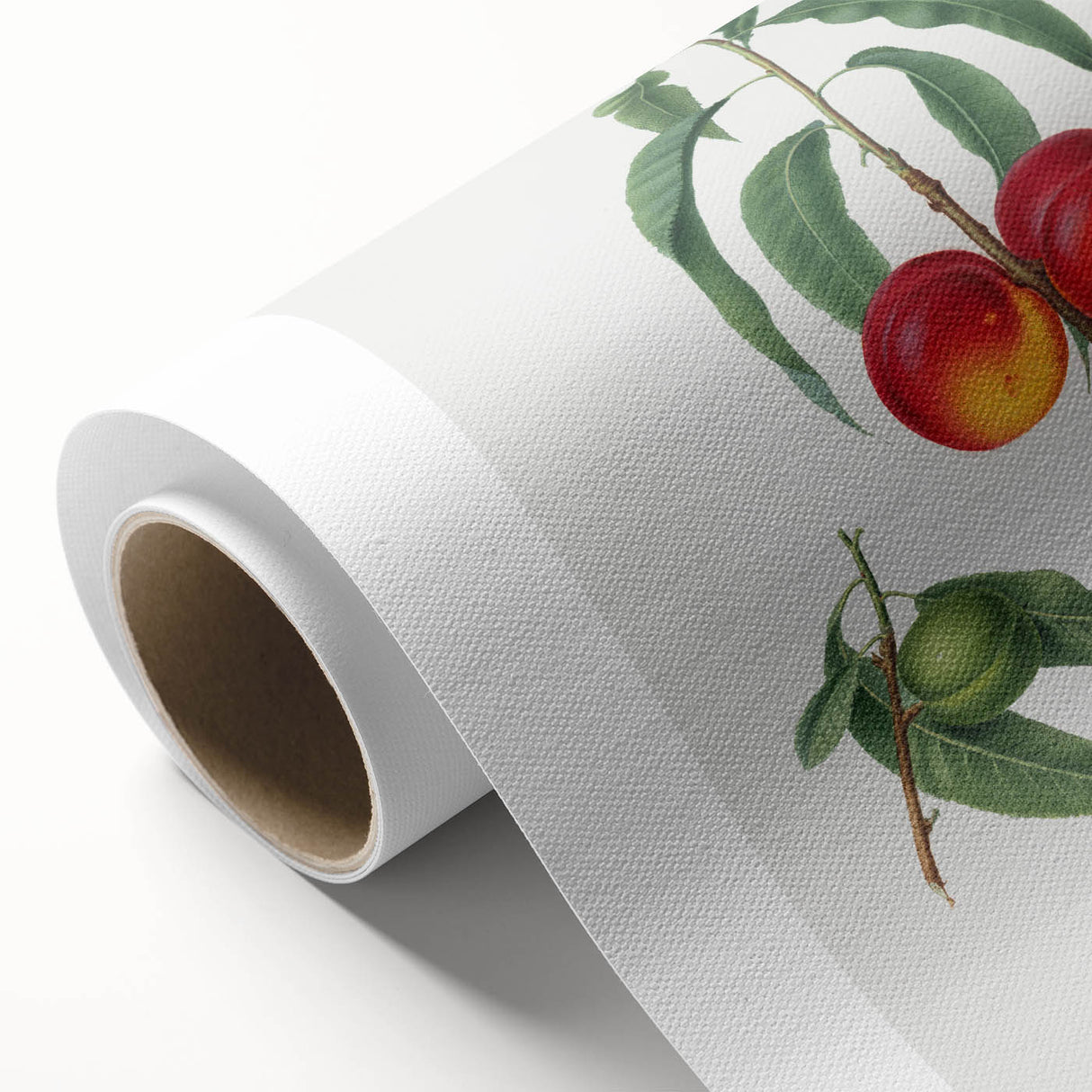 Realistic Wall Art: Botanical Peach Illustration Realism Art Canvas
