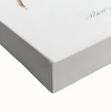 Realistic Wall Art: Botanical Peach Illustration Realism Art Canvas