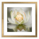 Serene Lotus Flower Living Room Wall Art – Framed Canvas Print