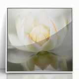 Serene Lotus Flower Living Room Wall Art – Framed Canvas Print