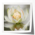 Serene Lotus Flower Living Room Wall Art – Framed Canvas Print