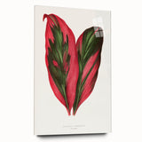 Romanticism Art: Dracaena Terminalis Pink Botanical Wall Art