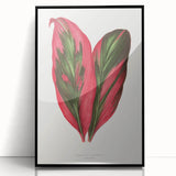 Romanticism Art: Dracaena Terminalis Pink Botanical Wall Art
