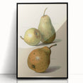Detailed Art Realism: Botanical Pear Illustration Realism Wall Art Canvas