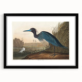Blue Crane Heron Romanticism Art - Historical Romantic Canvas Print