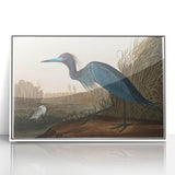 Blue Crane Heron Romanticism Art - Historical Romantic Canvas Print