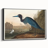 Blue Crane Heron Romanticism Art - Historical Romantic Canvas Print