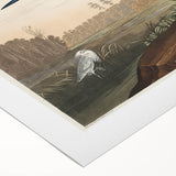 Blue Crane Heron Romanticism Art - Historical Romantic Canvas Print