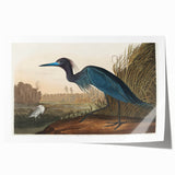 Blue Crane Heron Romanticism Art - Historical Romantic Canvas Print