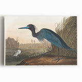 Blue Crane Heron Romanticism Art - Historical Romantic Canvas Print
