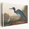 Blue Crane Heron Romanticism Art - Historical Romantic Canvas Print
