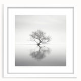 Acrylic Dining Room Artwork - Black and White Nature Reflection