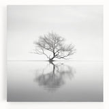 Acrylic Dining Room Artwork - Black and White Nature Reflection