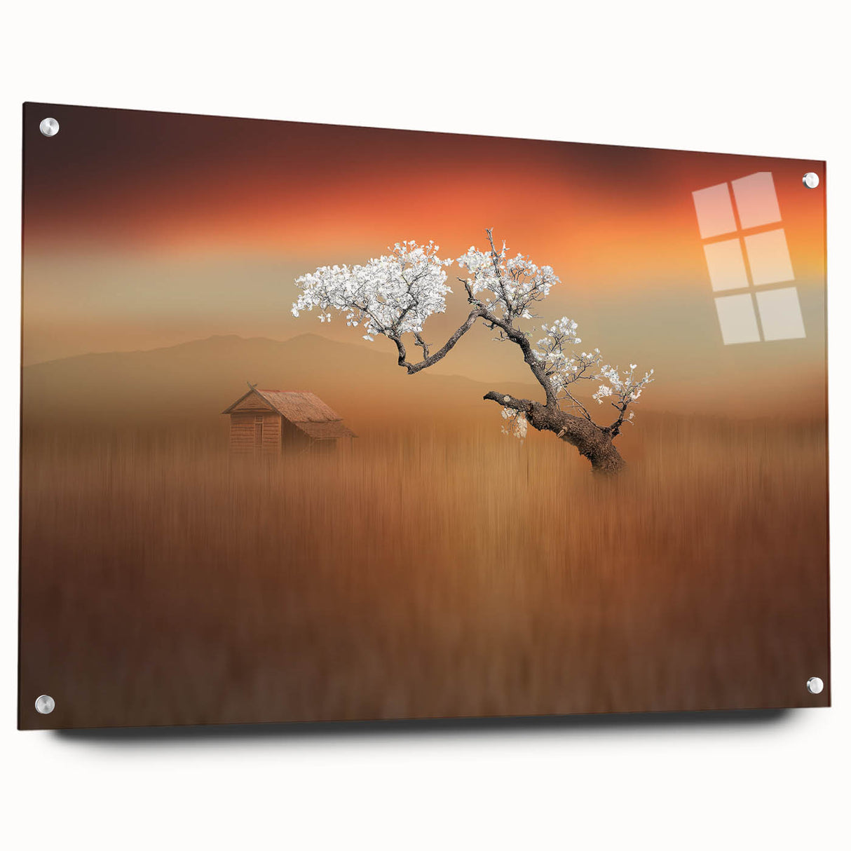 Acrylic glass artwork depicting vibrant landscapes and fields in a side view, showcasing intricate details and vivid colors, secured with pins for display.