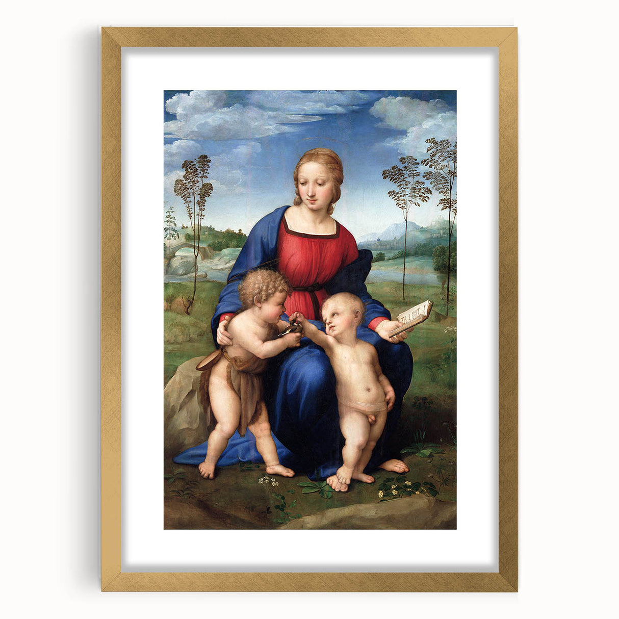 Renaissance Art Prints: Raphael's Madonna of the Goldfinch Wall Decor
