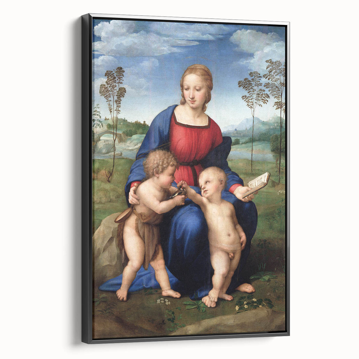 Renaissance Art Prints: Raphael's Madonna of the Goldfinch Wall Decor