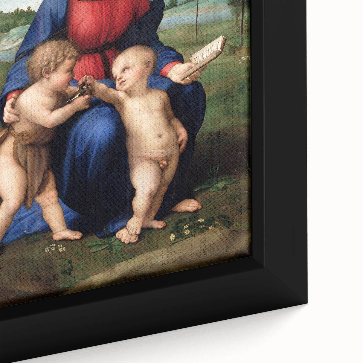 Renaissance Art Prints: Raphael's Madonna of the Goldfinch Wall Decor