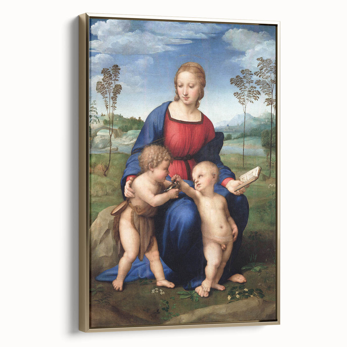 Renaissance Art Prints: Raphael's Madonna of the Goldfinch Wall Decor