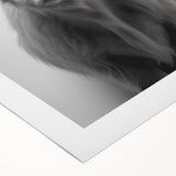 Highland Cow Bathroom Wall Art - Minimalist Black and White Decor
