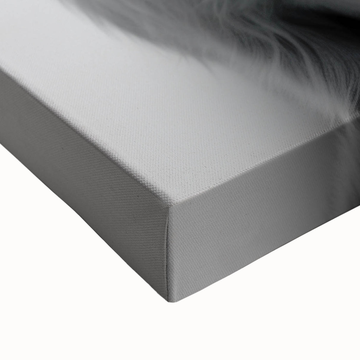 Highland Cow Bathroom Wall Art - Minimalist Black and White Decor