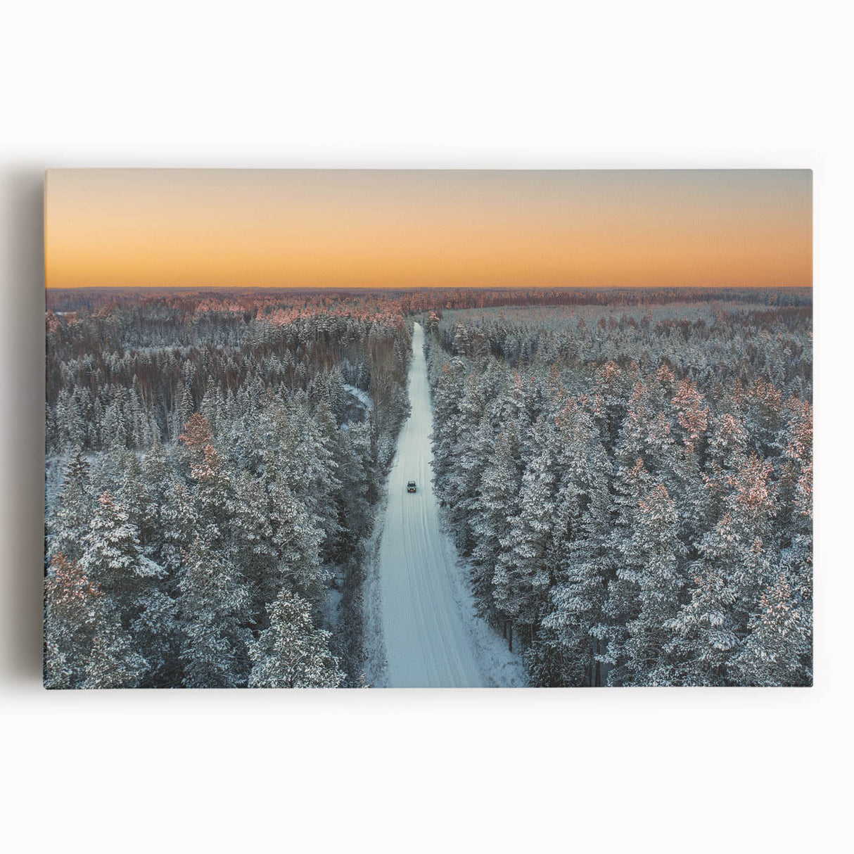 Black and white stretched canvas featuring a panoramic view of a European cityscape, ideal for kitchen wall art.