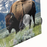 Acrylic print of the Grand Tetons in muted earth tones, ideal for dining room art in a mid-century modernist style.