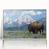Acrylic print of the Grand Tetons in Wyoming, featuring sharp peaks set against a clear sky, framed in white.