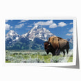 Rolled print of Grand Tetons scenery with muted earth tones, ideal for art wall dining room.