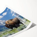 Extra large rolled print featuring line art flowers with muted earth tones, ideal for large living room wall art.