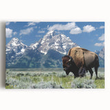 Black and white stretched canvas of the Grand Tetons, ideal for kitchen wall art.