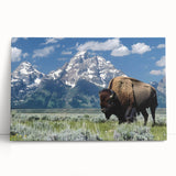 Black and white stretched canvas of Grand Tetons scenery, ideal for kitchen wall art or bedroom ambiance.