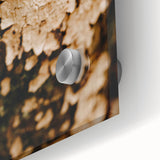 Large abstract wall art with mid-century modernist style in warm autumnal tones on acrylic glass.