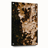 Large abstract wall art on acrylic glass depicting swirls in autumnal hues, ideal for bedroom or dining room decor.