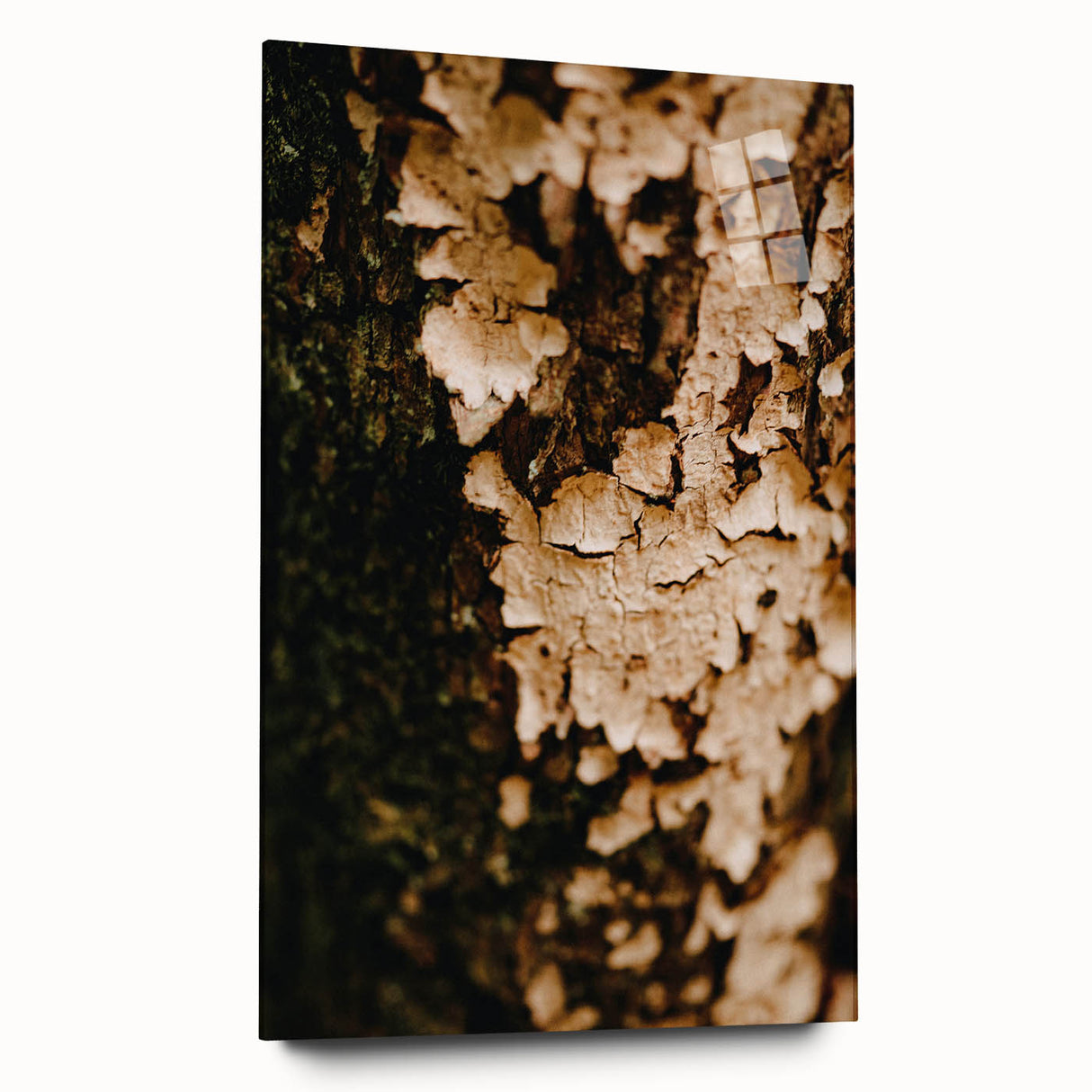 Large abstract wall art in warm autumn hues on acrylic glass, ideal for bedroom or dining room decor.