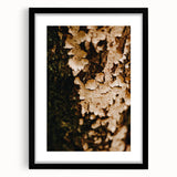 Extra large abstract art print featuring textured, colorful autumn-themed imagery on a black framed canvas.