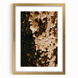 Extra large textured abstract art print in warm autumn tones, framed in gold, ideal for living room decor.