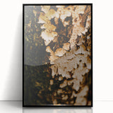 Large abstract wall art featuring warm autumnal hues in a mid-century modernist style on a framed acrylic.
