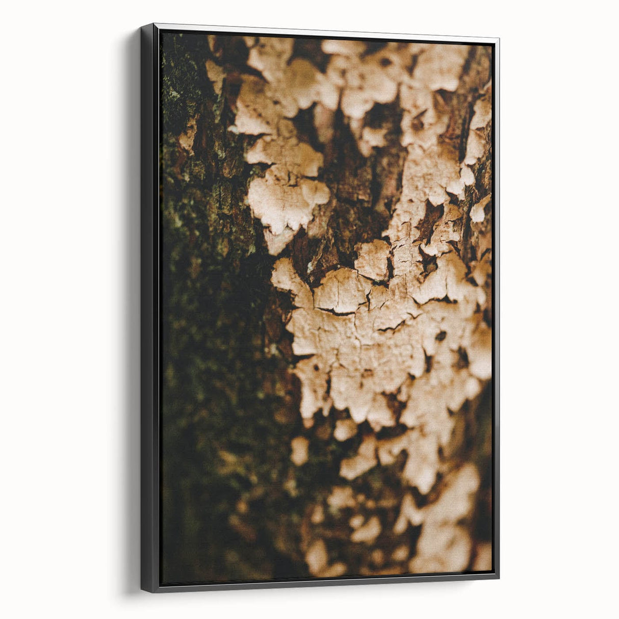 Black and white framed canvas depicting a vintage-style landscape with leafless trees, ideal for bedroom wall decor.