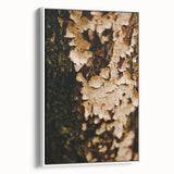 Vintage poster art of autumn trees on extra large framed canvas, featuring earthy orange and brown tones.