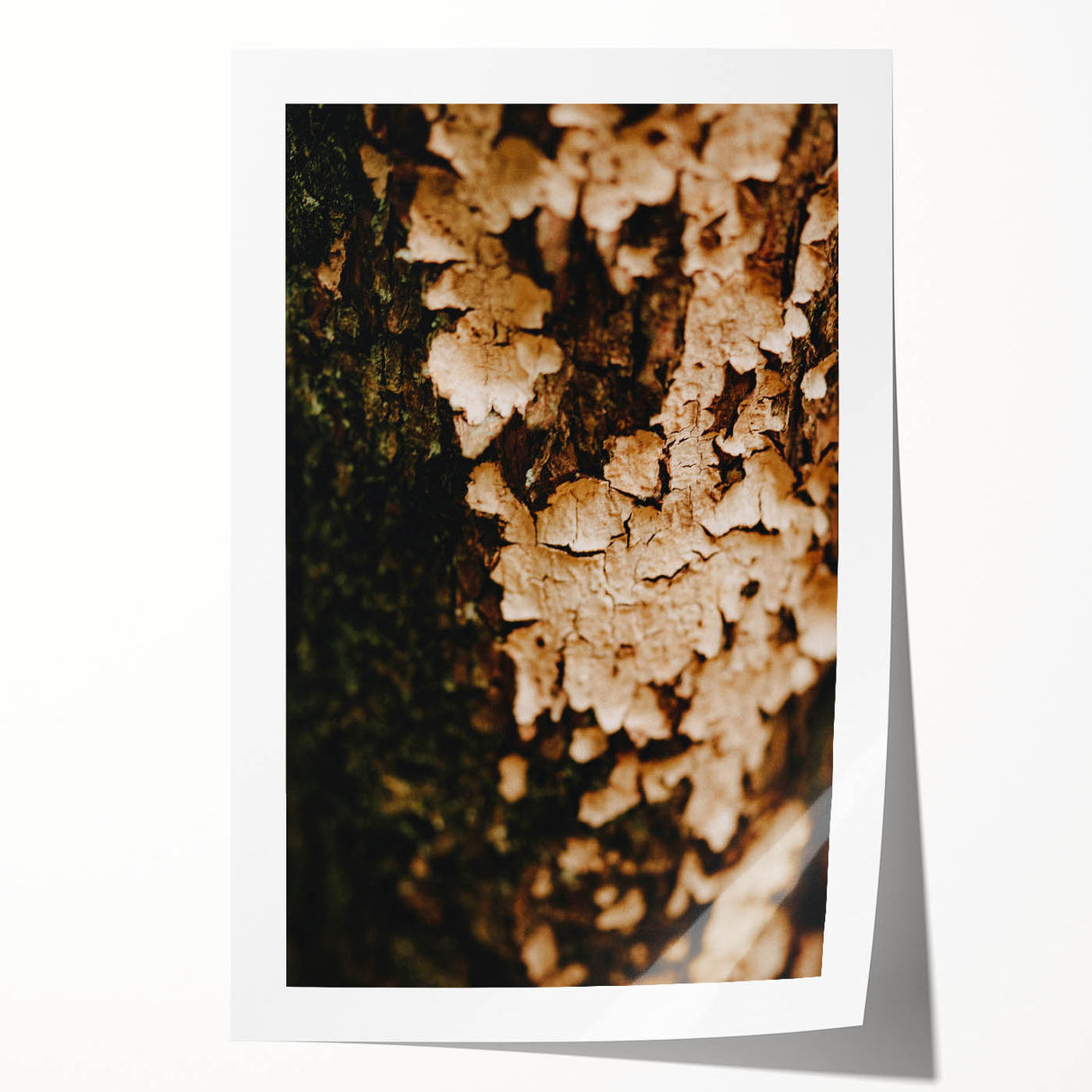 Extra large rolled canvas print featuring a floral autumn design in warm orange and red tones.