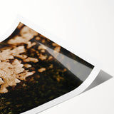 Extra large rolled print featuring line art flowers in muted earth tones, suitable for large living room wall art.