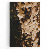 Large black and white abstract art on stretched canvas depicting a tree in autumn, suited for kitchen wall art.