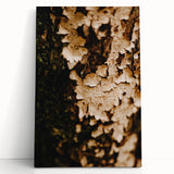 Large black and white abstract print on stretched canvas, depicting swirling forms.