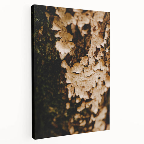 Large art depicting a fall scene on stretched canvas, featuring warm orange and red tones, suitable for kitchen wall art.