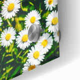 Large abstract wall art in pastel shades on acrylic glass, featuring a mid-century modernist style.